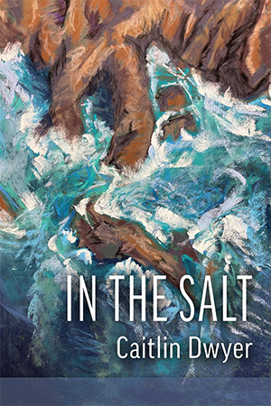 The cover of poetry book In the Salt, with a rocky shoreline and crashing waves